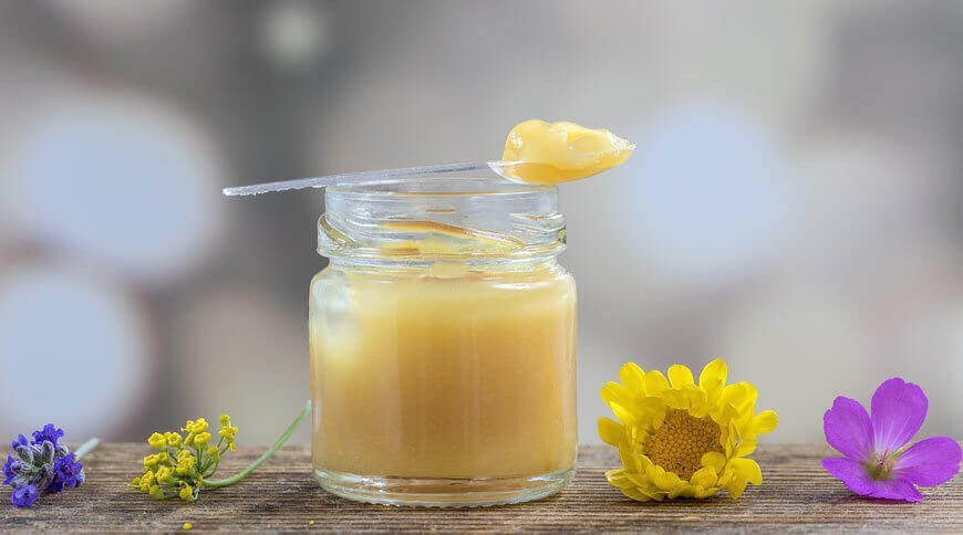 Tout savoir sur la gelée royale : le concentré d’excellence de la ruche
