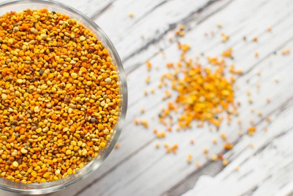 Tout savoir sur le pollen : l’or protéiné de la ruche