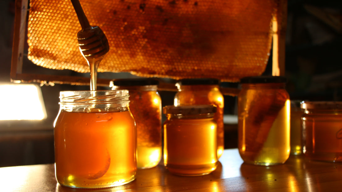 Tout savoir sur le miel : l’or liquide de la nature