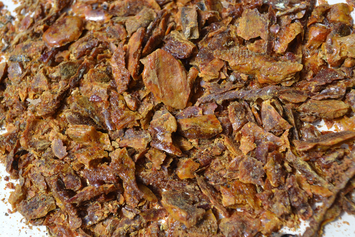 Tout savoir sur la propolis : le secret bien-être venu de la ruche